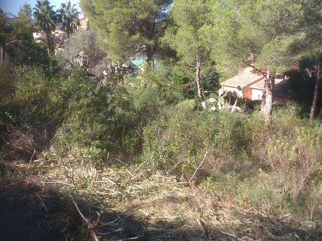 Clearing and crushing in Jávea