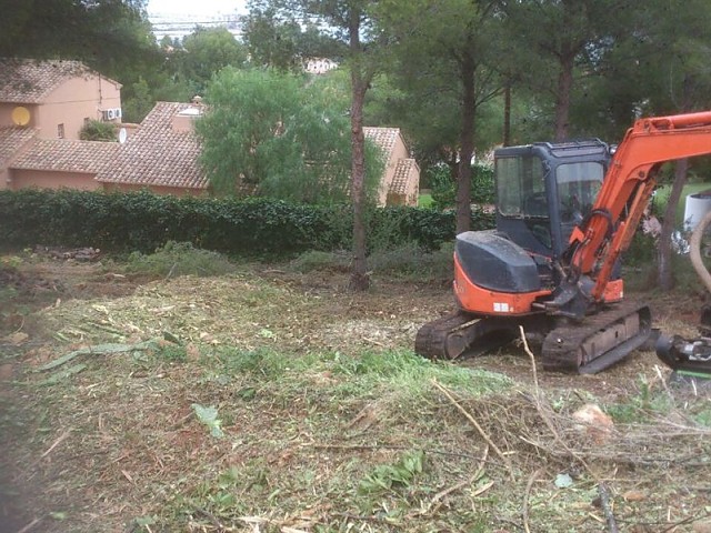 Imagen 14