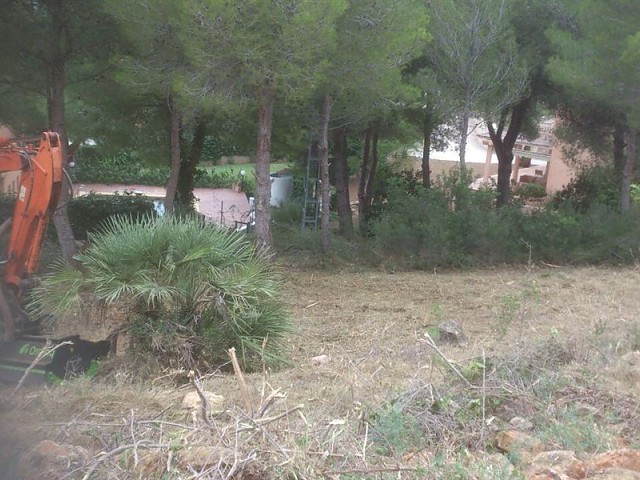 Imagen 15