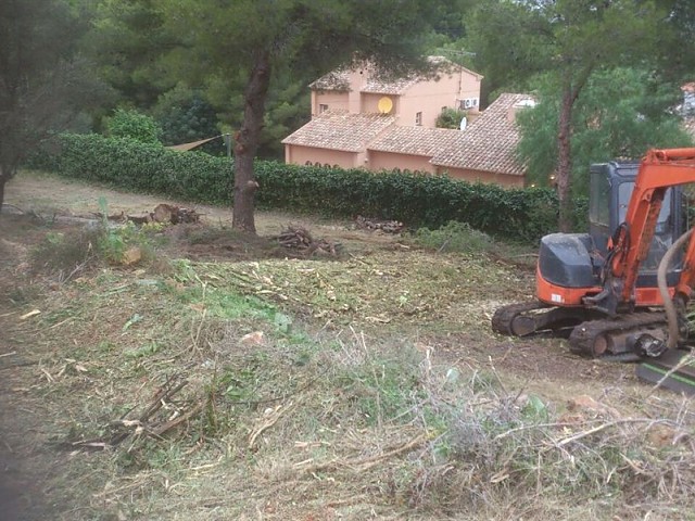 Imagen 16