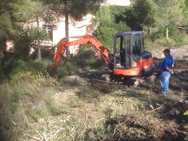Imagen 19