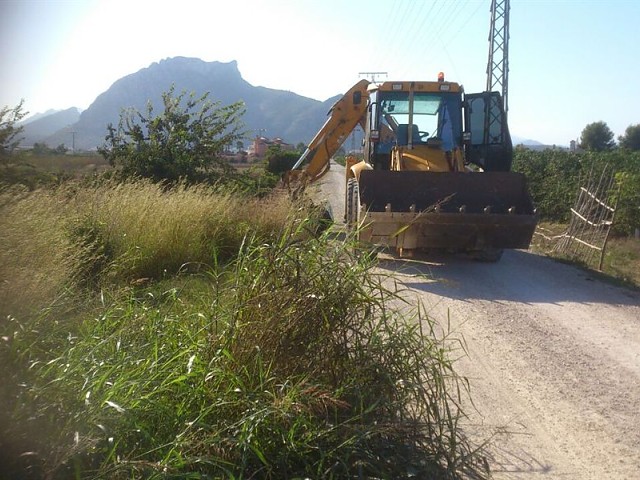 Imagen 3
