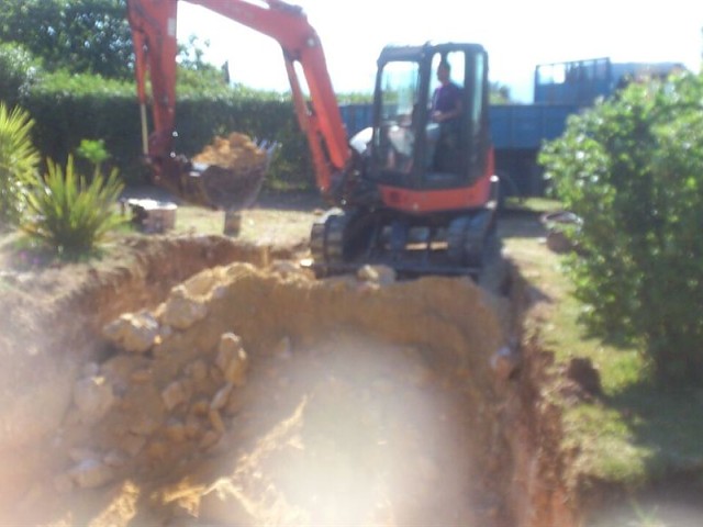 Imagen 5