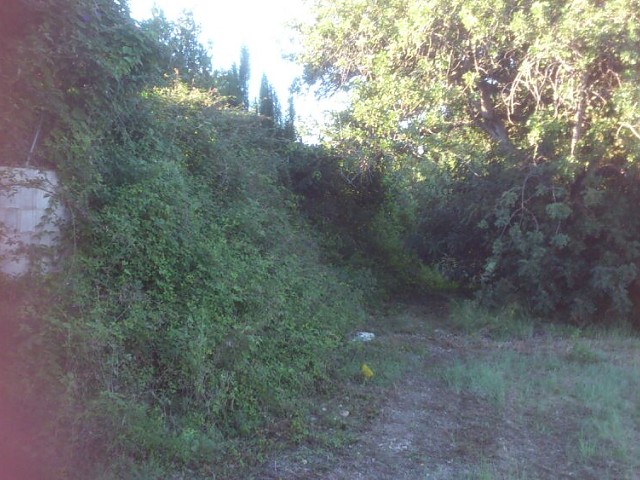 Imagen 5