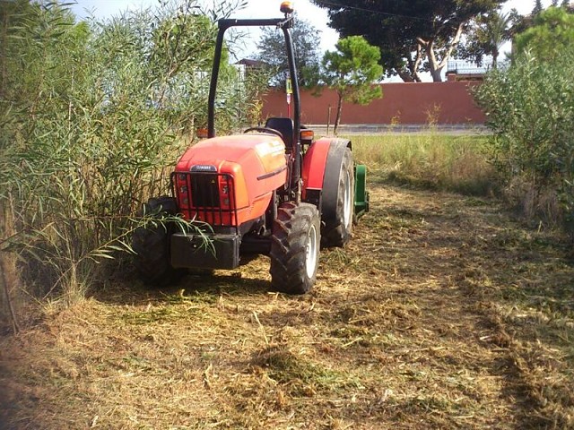 Imagen 5