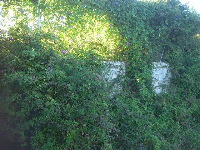 Imagen 6