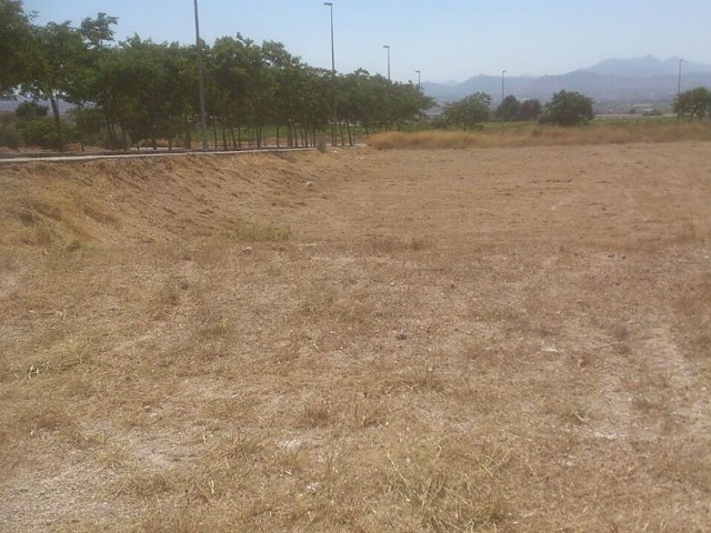 Imagen 6