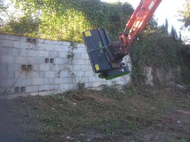 Imagen 7