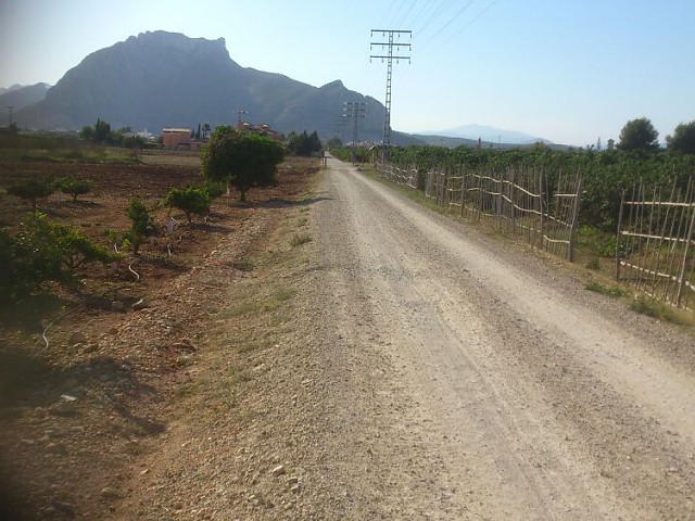Imagen 7
