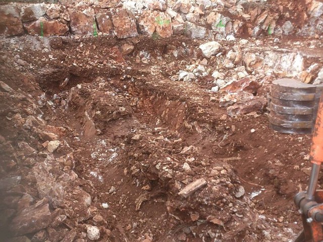 Imagen 10